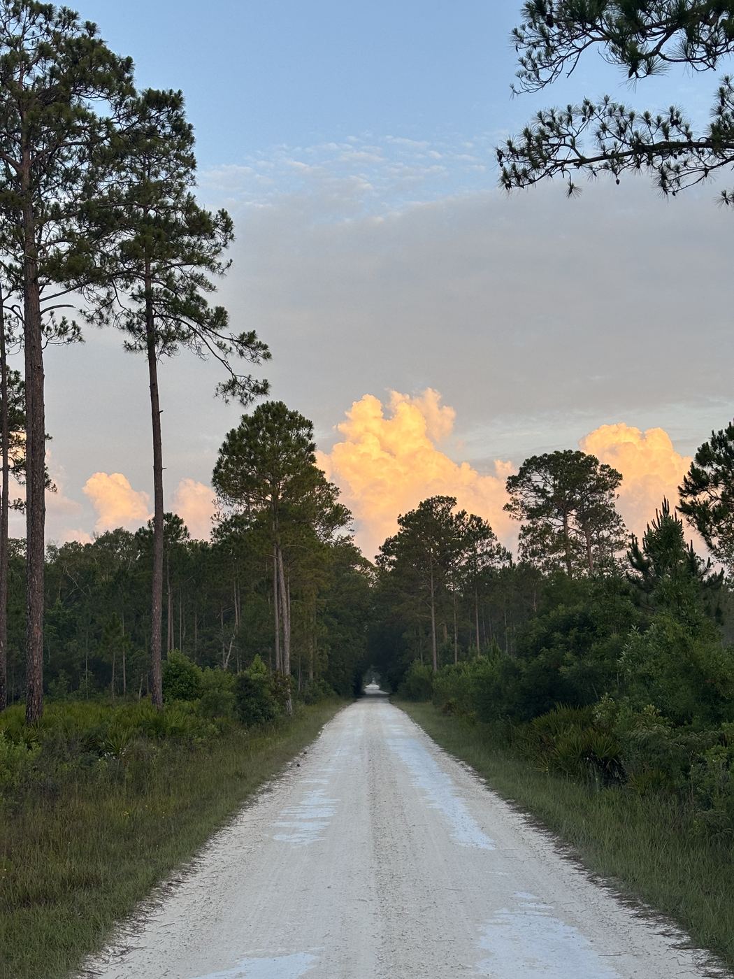 A sand road at sunrise under pink clouds