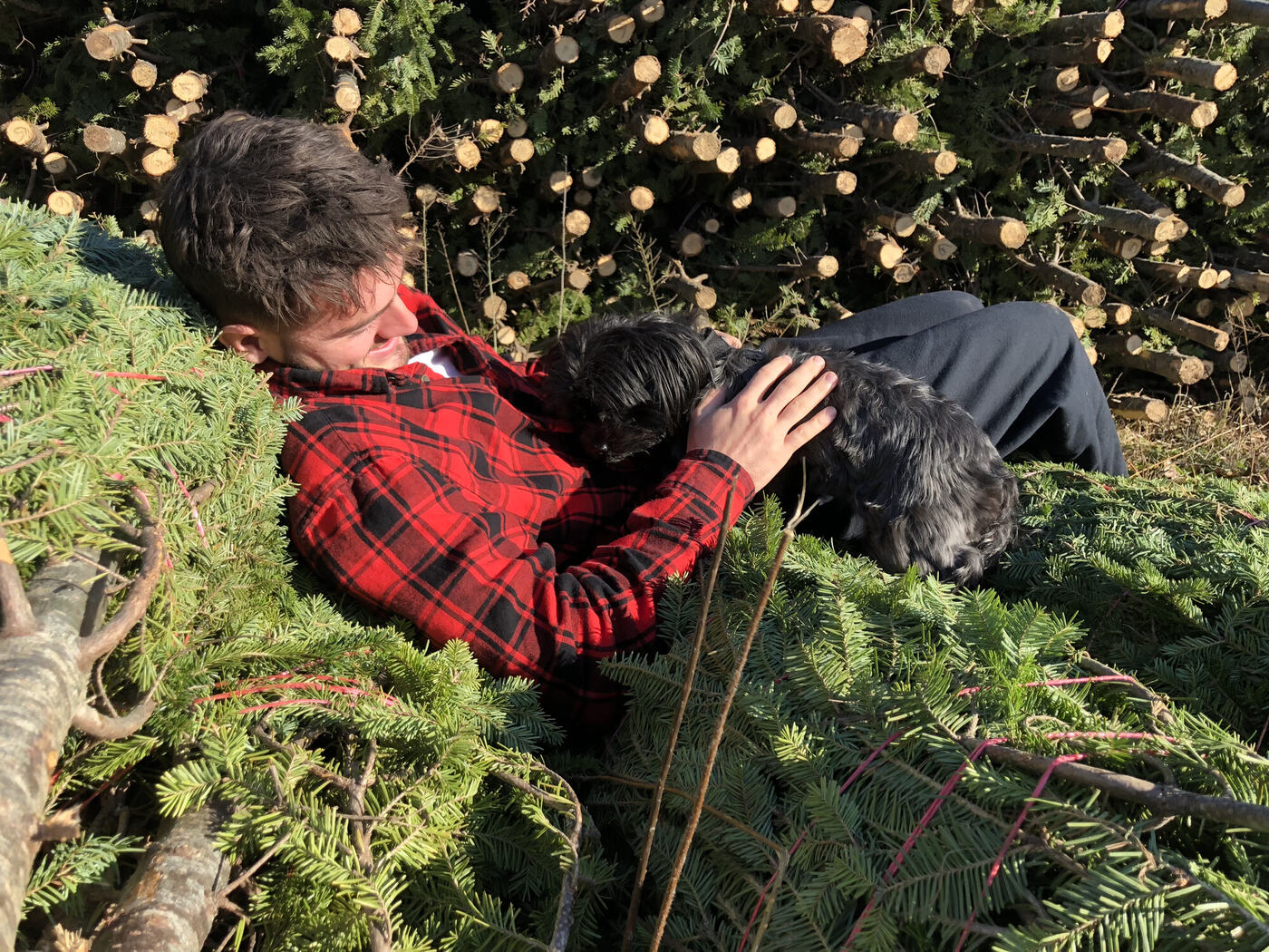 Noah among the Christmas trees with his dog