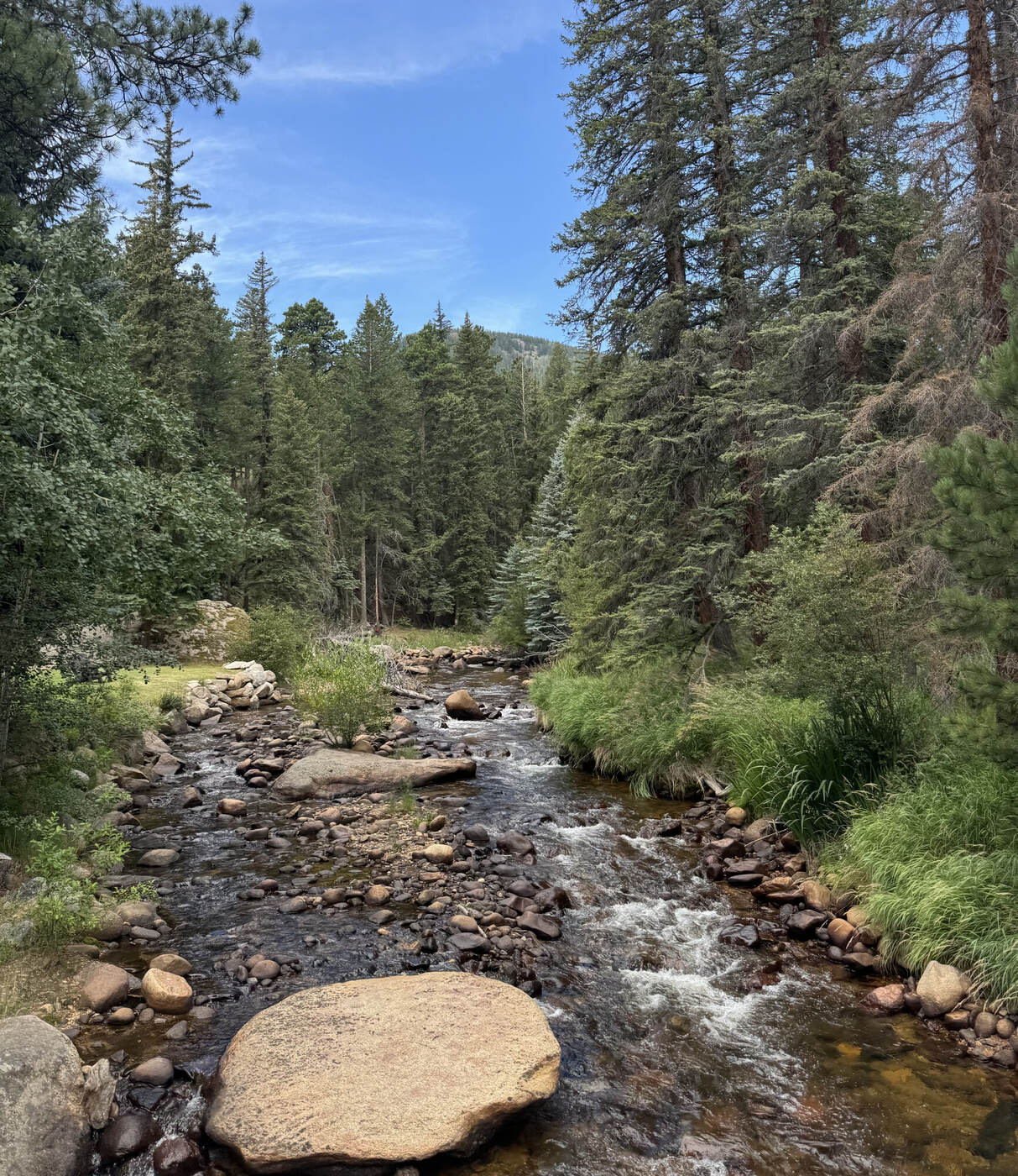 A creek in the Colorado Rockies
